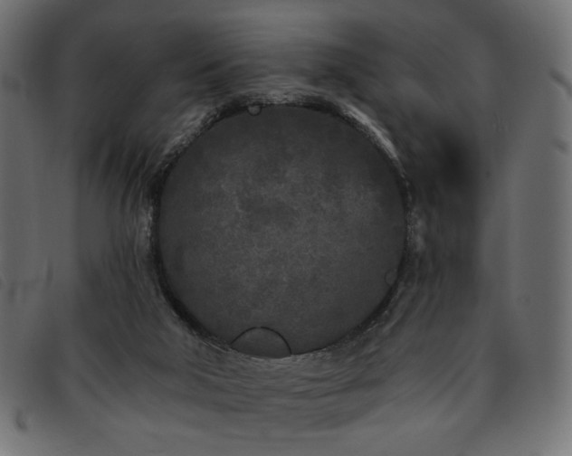 X0000093760018200710161231