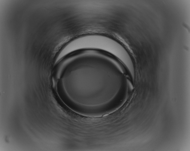 X0000093760019200710161231