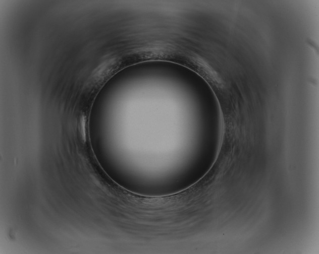 X0000093760022200710161231