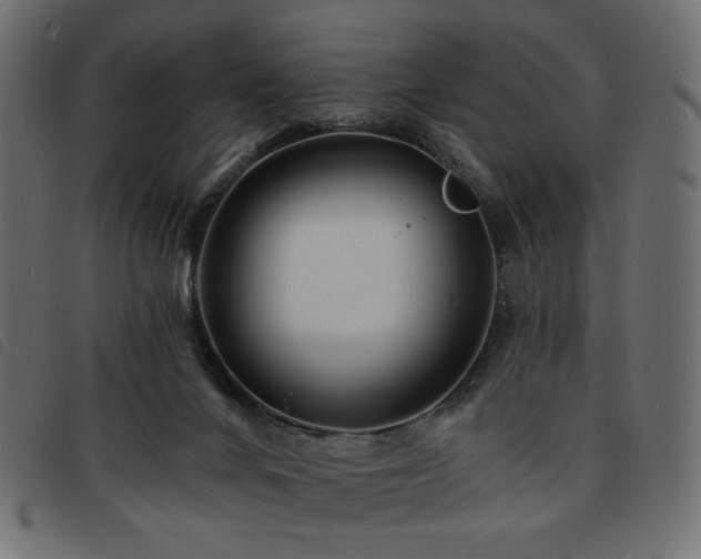X0000093760024200710161231