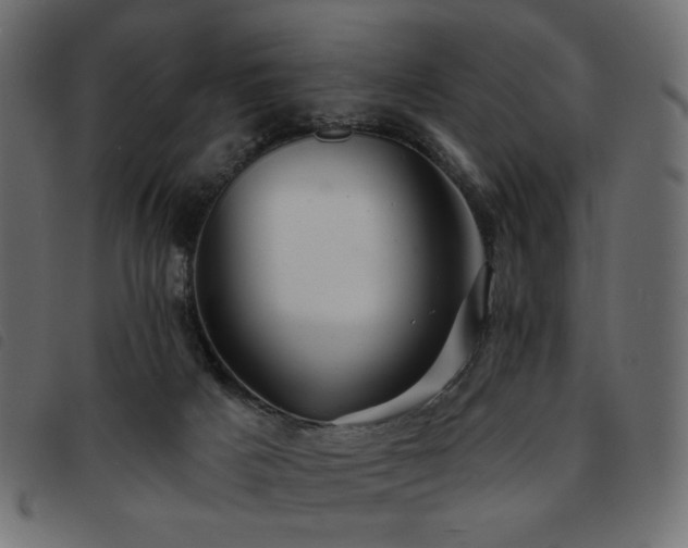X0000093760025200710161231
