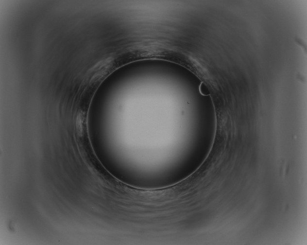 X0000093760026200710161231