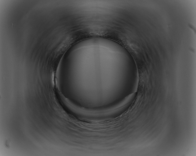 X0000093760027200710161231