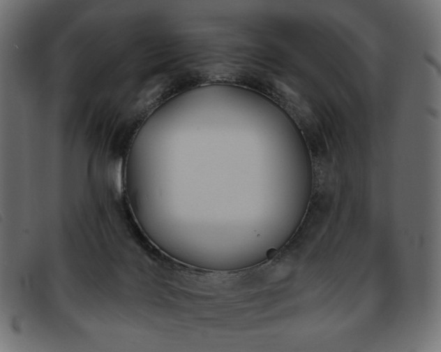 X0000093760028200710161231