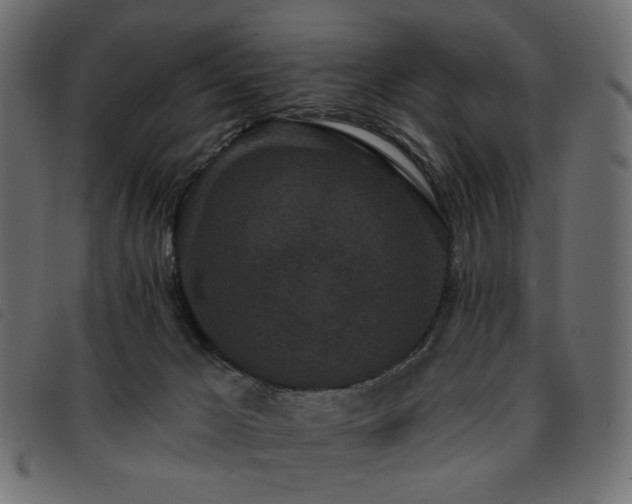 X0000093760029200710161231