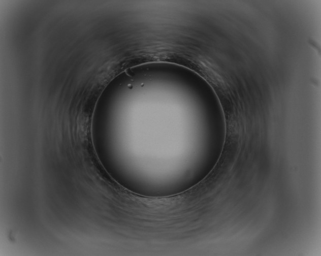 X0000093760030200710161231