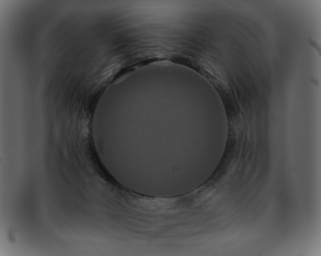 X0000093760032200710161231