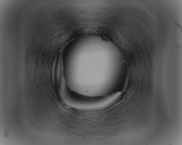 X0000093760033200710161231