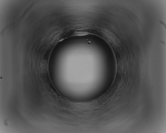 X0000093760034200710161231