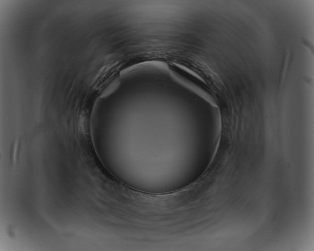 X0000093760035200710161231
