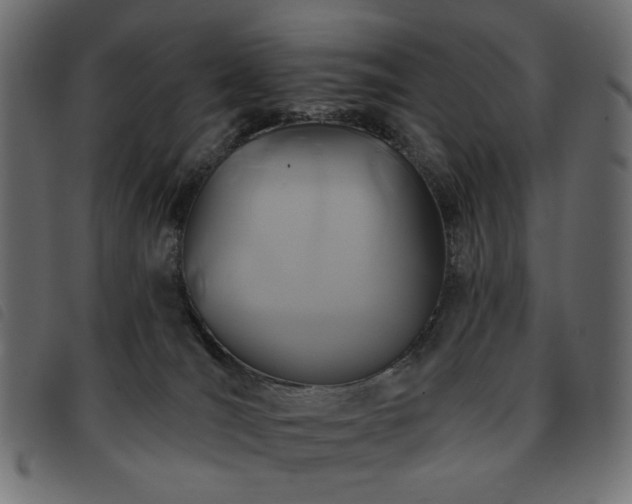 X0000093760036200710161231