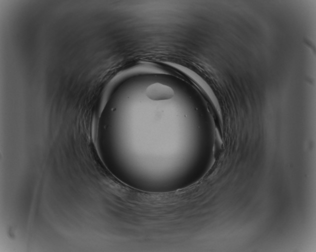 X0000093760037200710161231