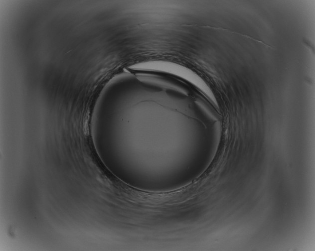 X0000093760039200710161231