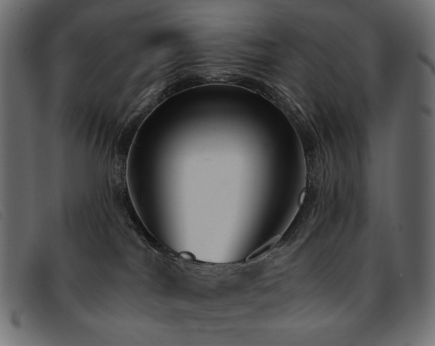 X0000093760044200710161231
