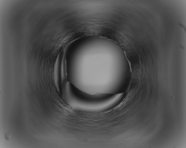 X0000093760045200710161231
