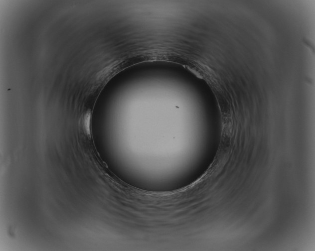X0000093760047200710161231