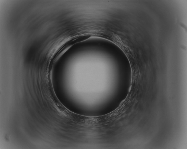 X0000093760050200710161231
