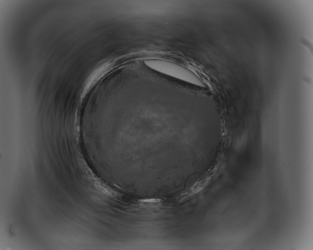 X0000093760053200710161231