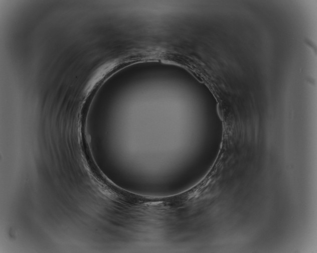 X0000093760054200710161231