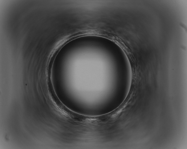 X0000093760055200710161231