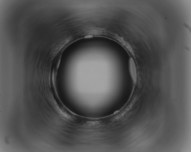 X0000093760057200710161231