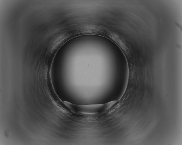 X0000093760058200710161231
