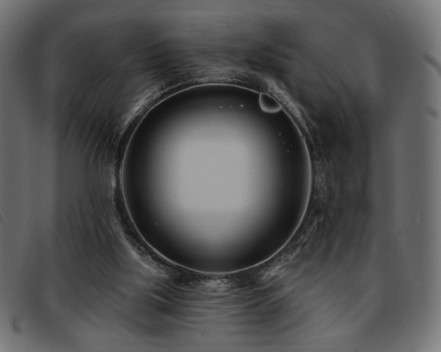 X0000093760059200710161231