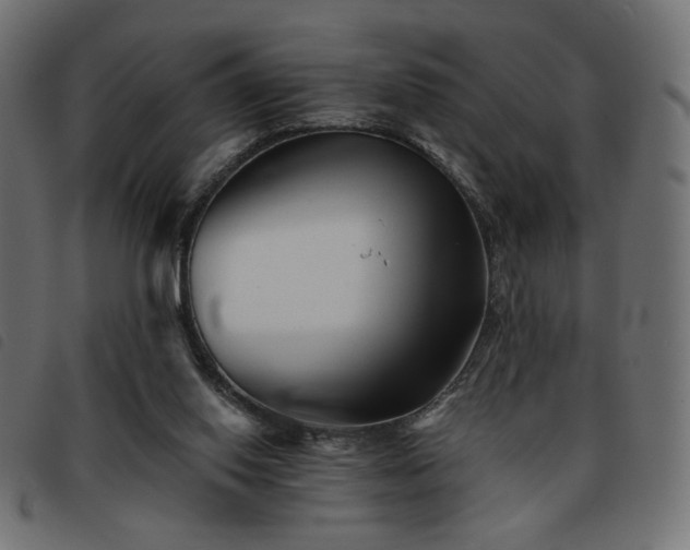 X0000093760062200710161231
