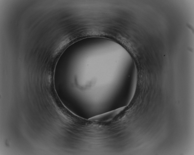 X0000093760063200710161231