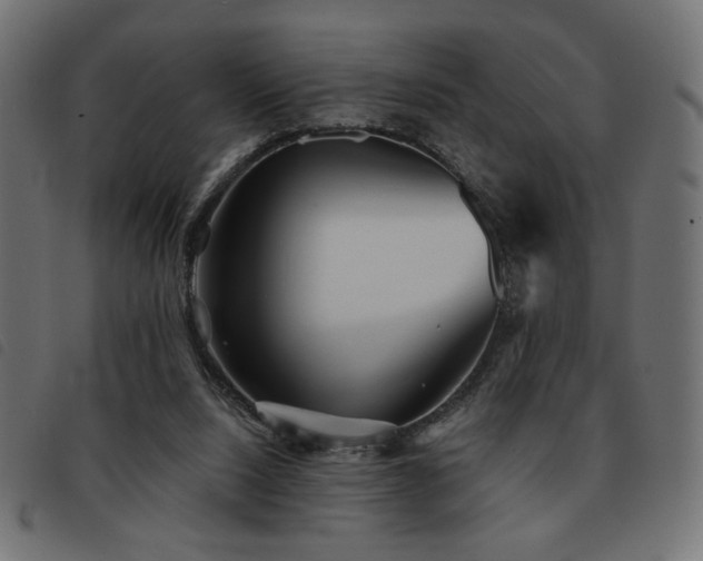 X0000093760064200710161231