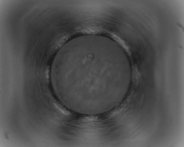 X0000093760065200710161231