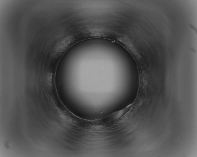 X0000093760066200710161231
