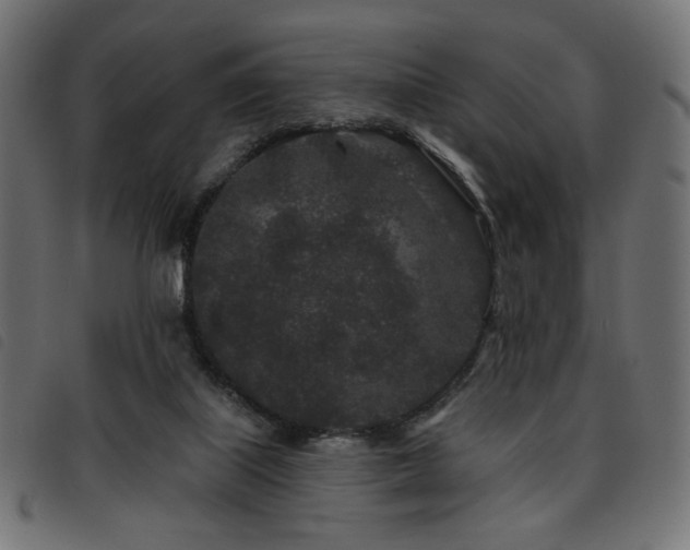 X0000093760067200710161231