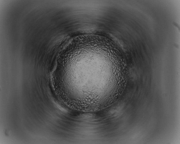 X0000093760069200710161231