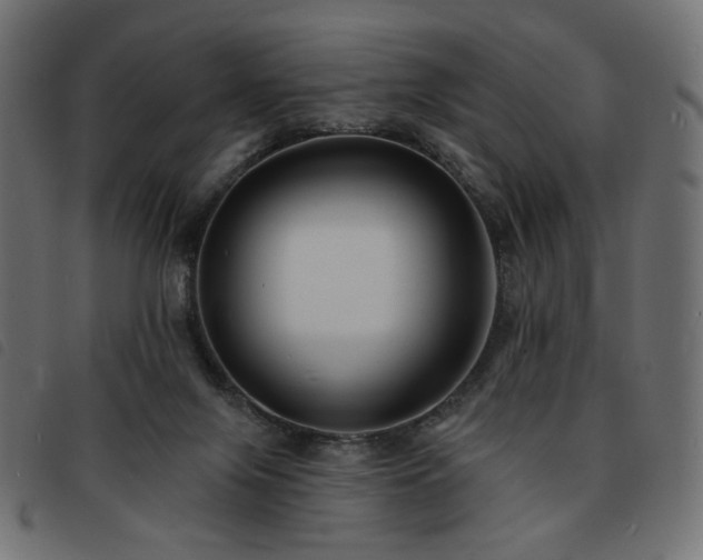 X0000093760071200710161231
