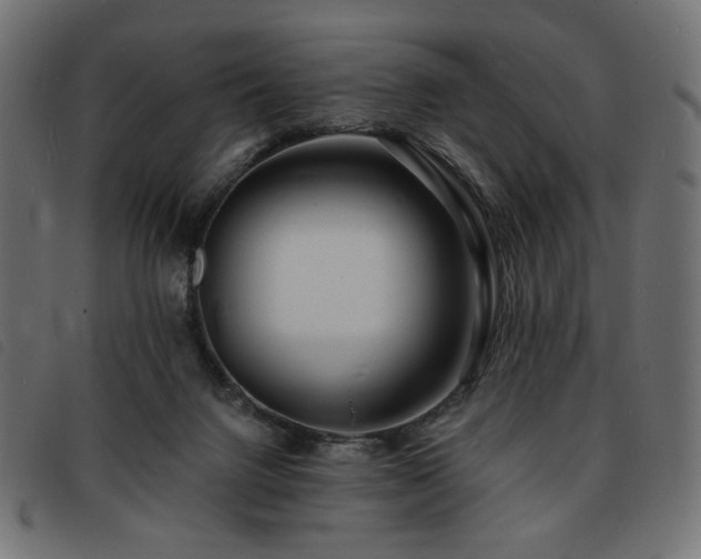 X0000093760072200710161231