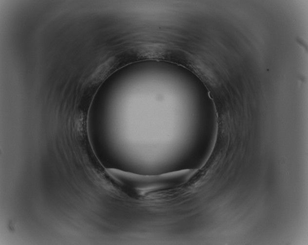 X0000093760073200710161231