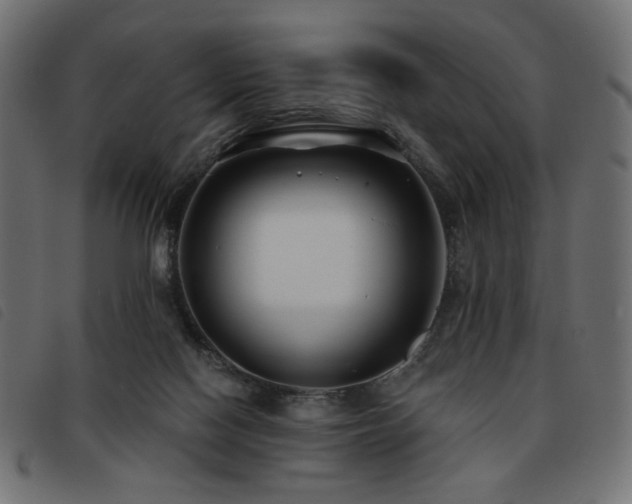 X0000093760074200710161231