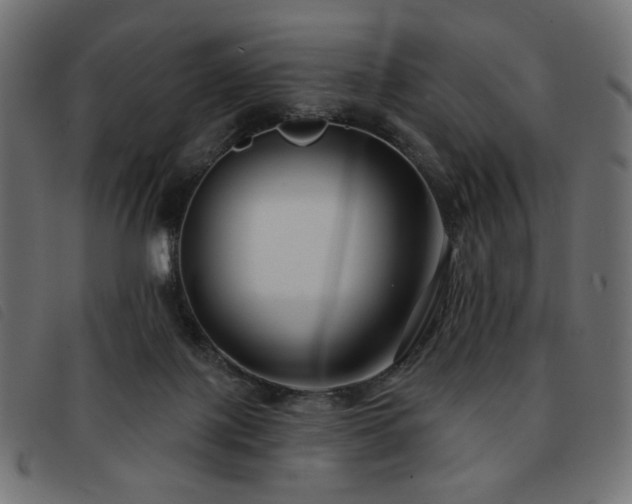 X0000093760075200710161231
