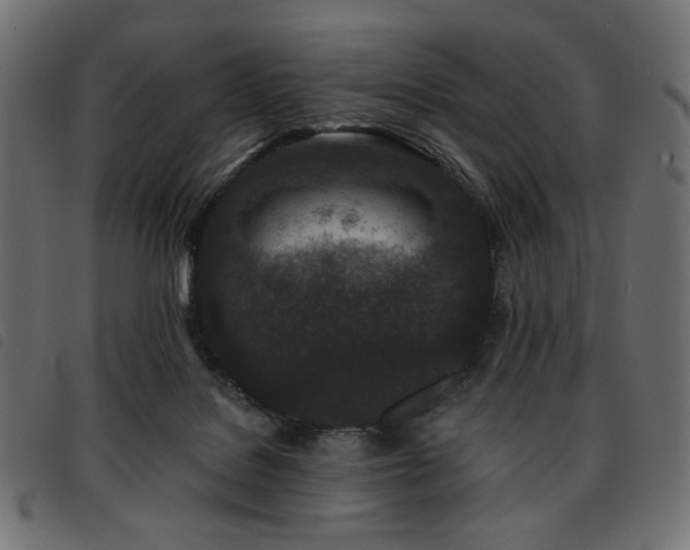 X0000093760076200710161231