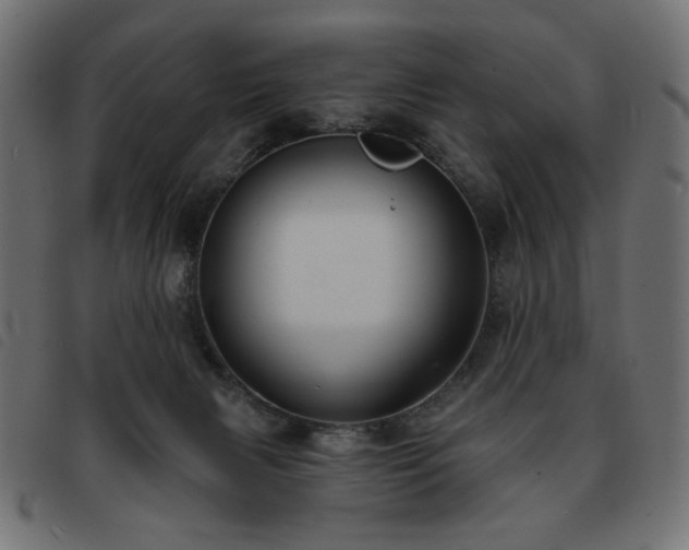 X0000093760079200710161231