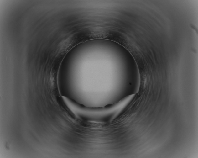 X0000093760080200710161231
