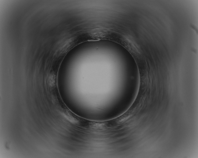 X0000093760081200710161231