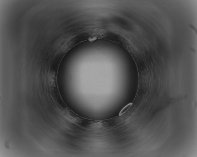 X0000093760083200710161231