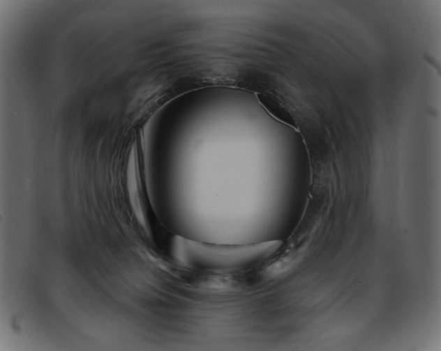 X0000093760084200710161231
