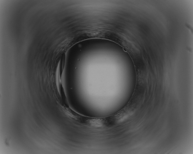 X0000093760085200710161231