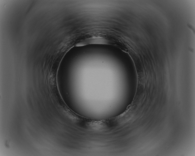 X0000093760086200710161231