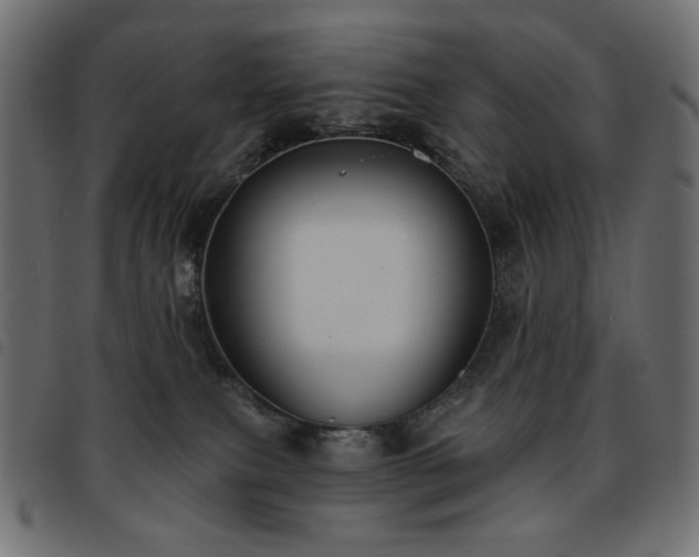 X0000093760087200710161231