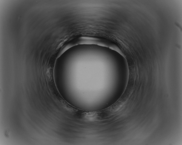 X0000093760088200710161231