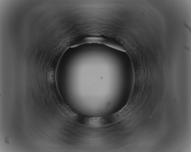 X0000093760090200710161231